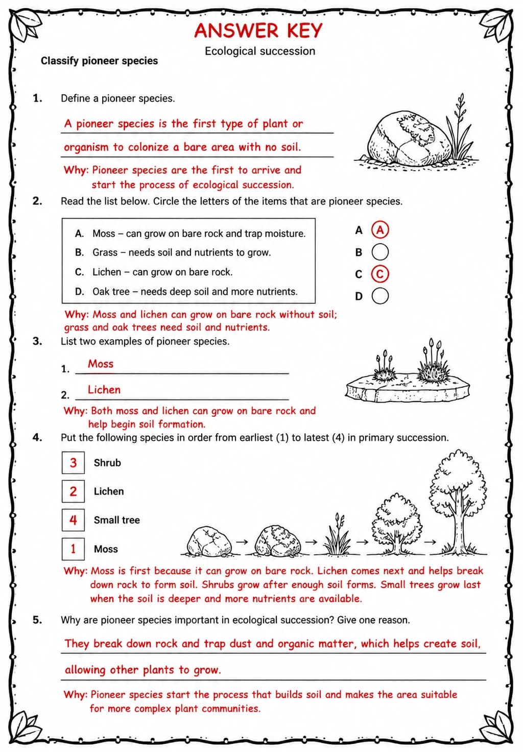 Answer key for Classify pioneer species — free printable Science worksheet