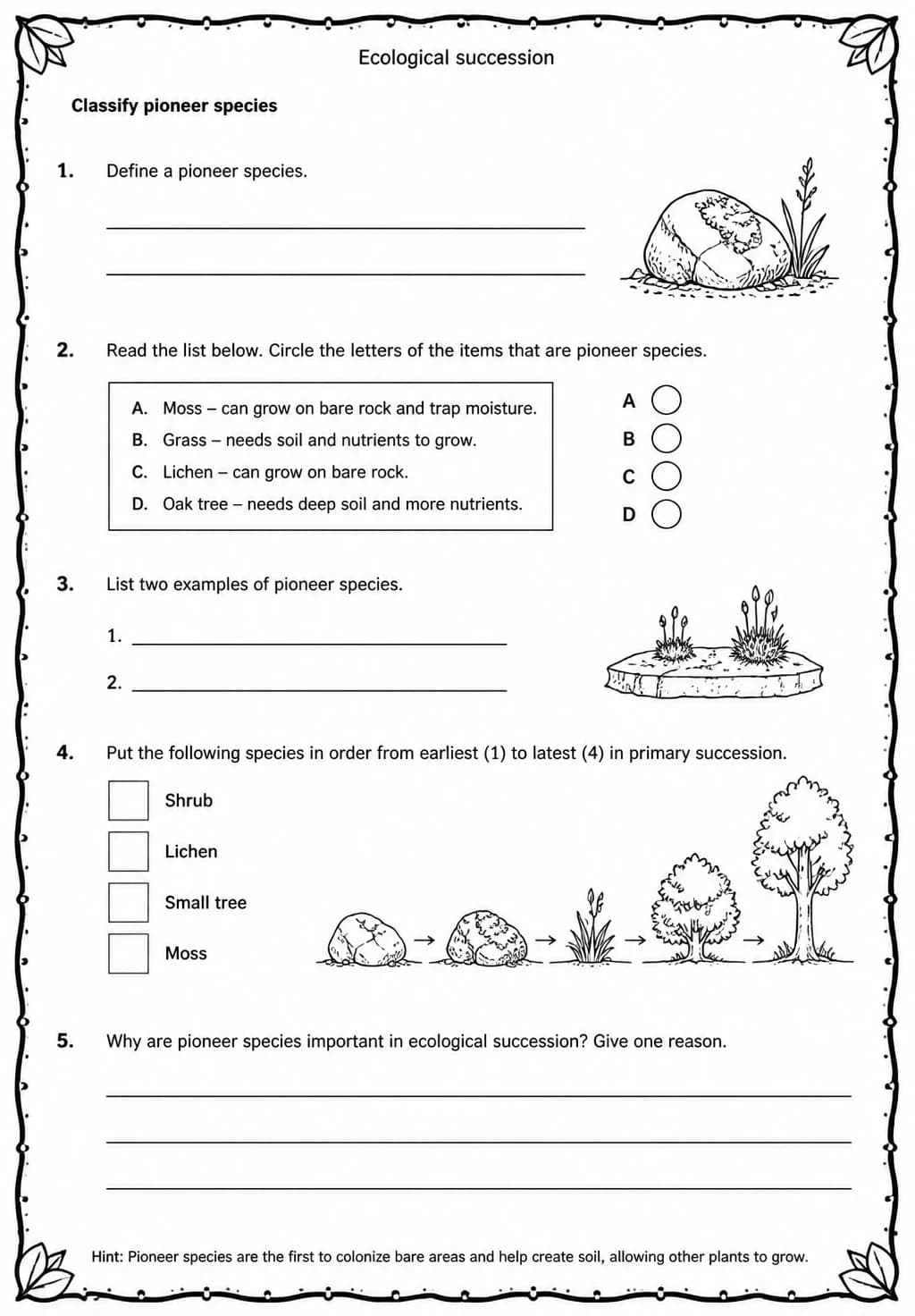 Classify pioneer species — free printable Middle School Science worksheet