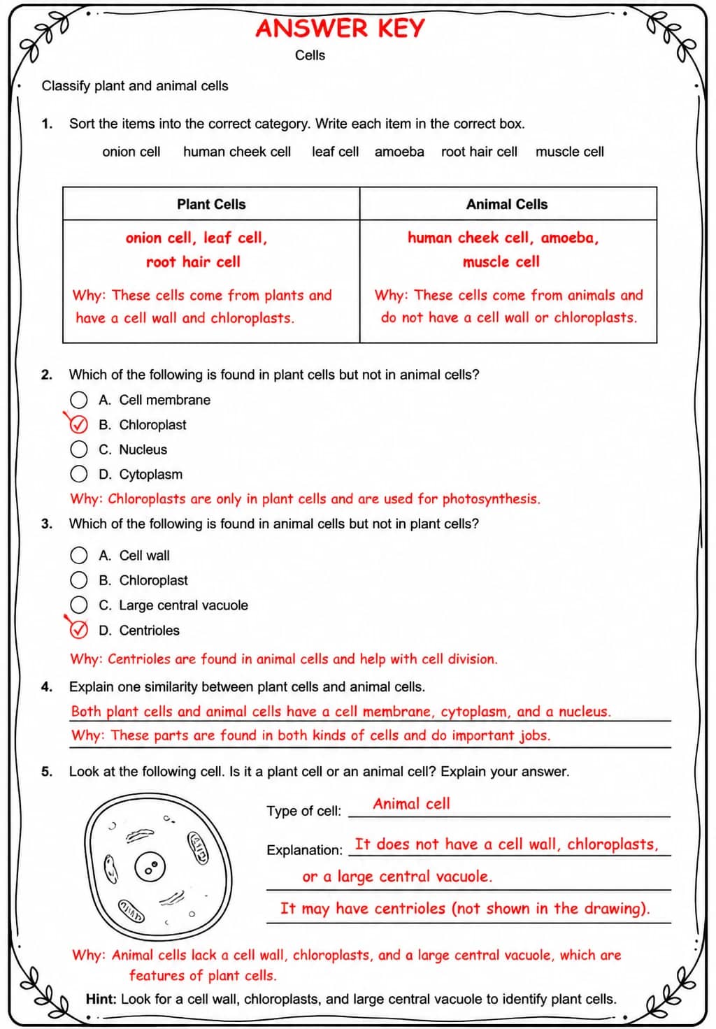 Answer key for Classify plant and animal cells — free printable Science worksheet