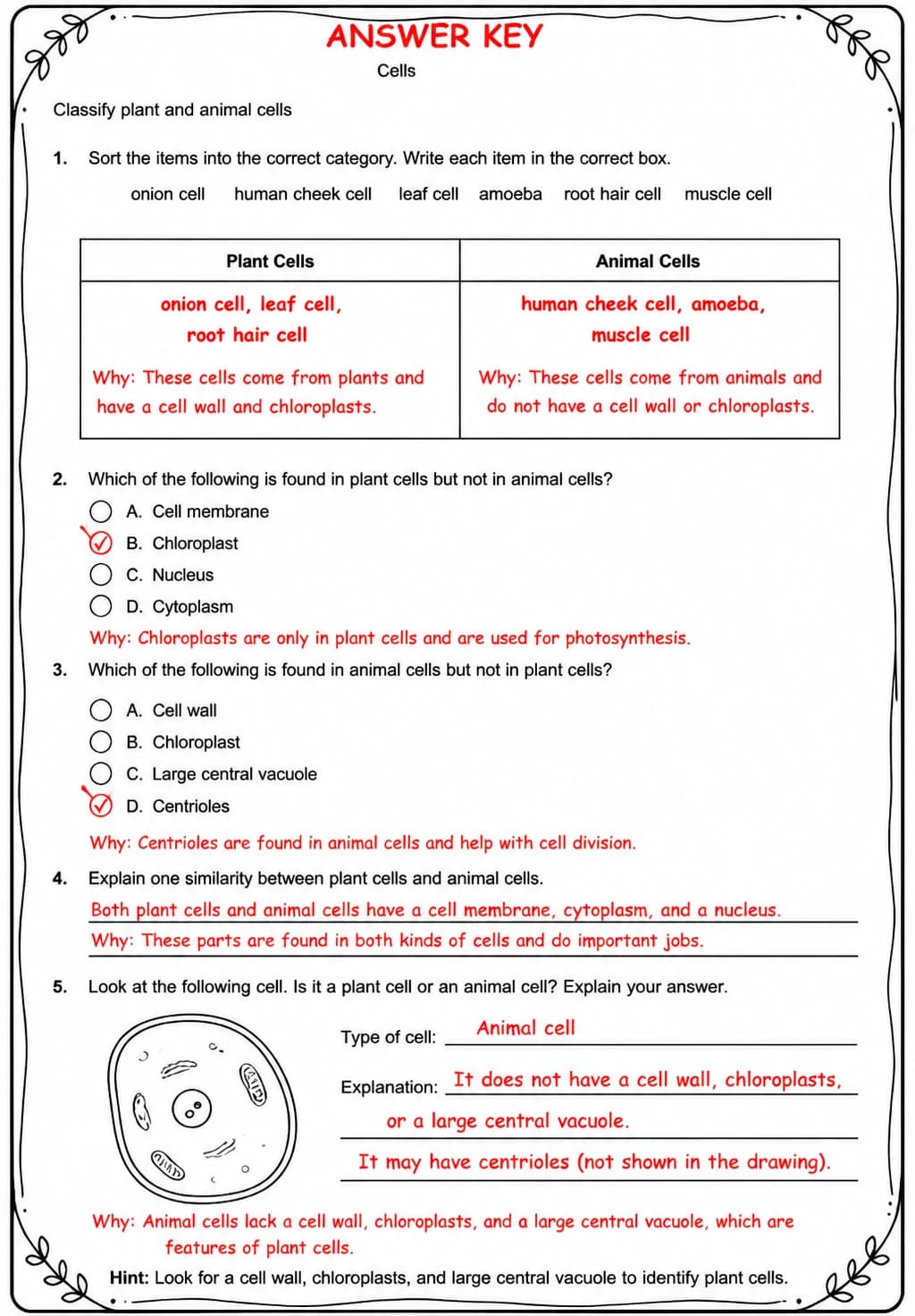 Answer key for Classify plant and animal cells — free printable Science worksheet