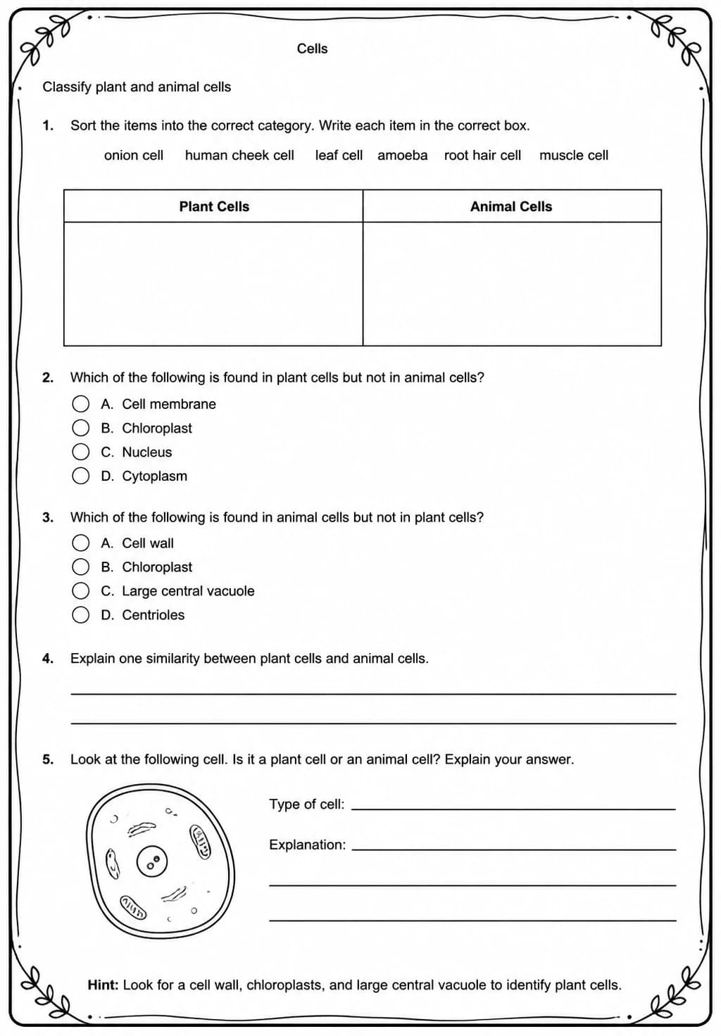 Classify plant and animal cells — free printable Middle School Science worksheet