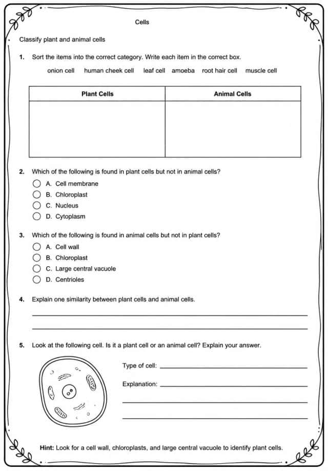 Classify plant and animal cells