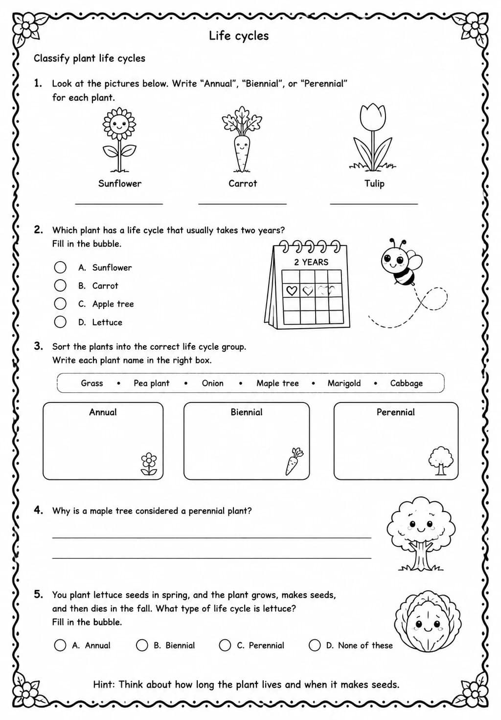Classify plant life cycles — free printable Grade 3 Science worksheet