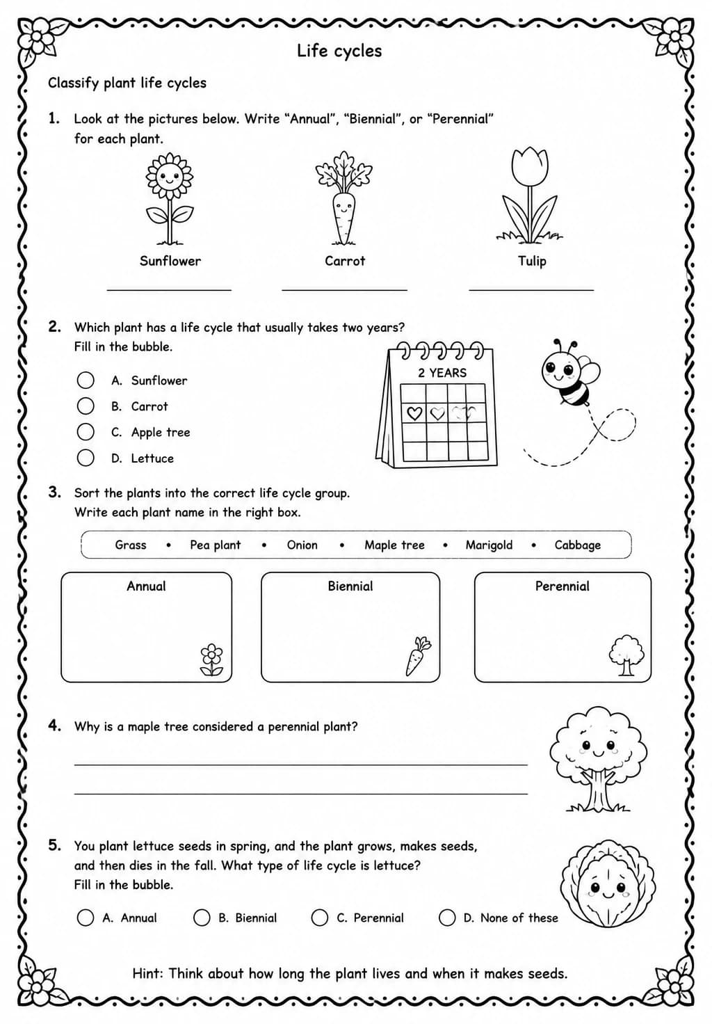 Classify plant life cycles — free printable Grade 3 Science worksheet