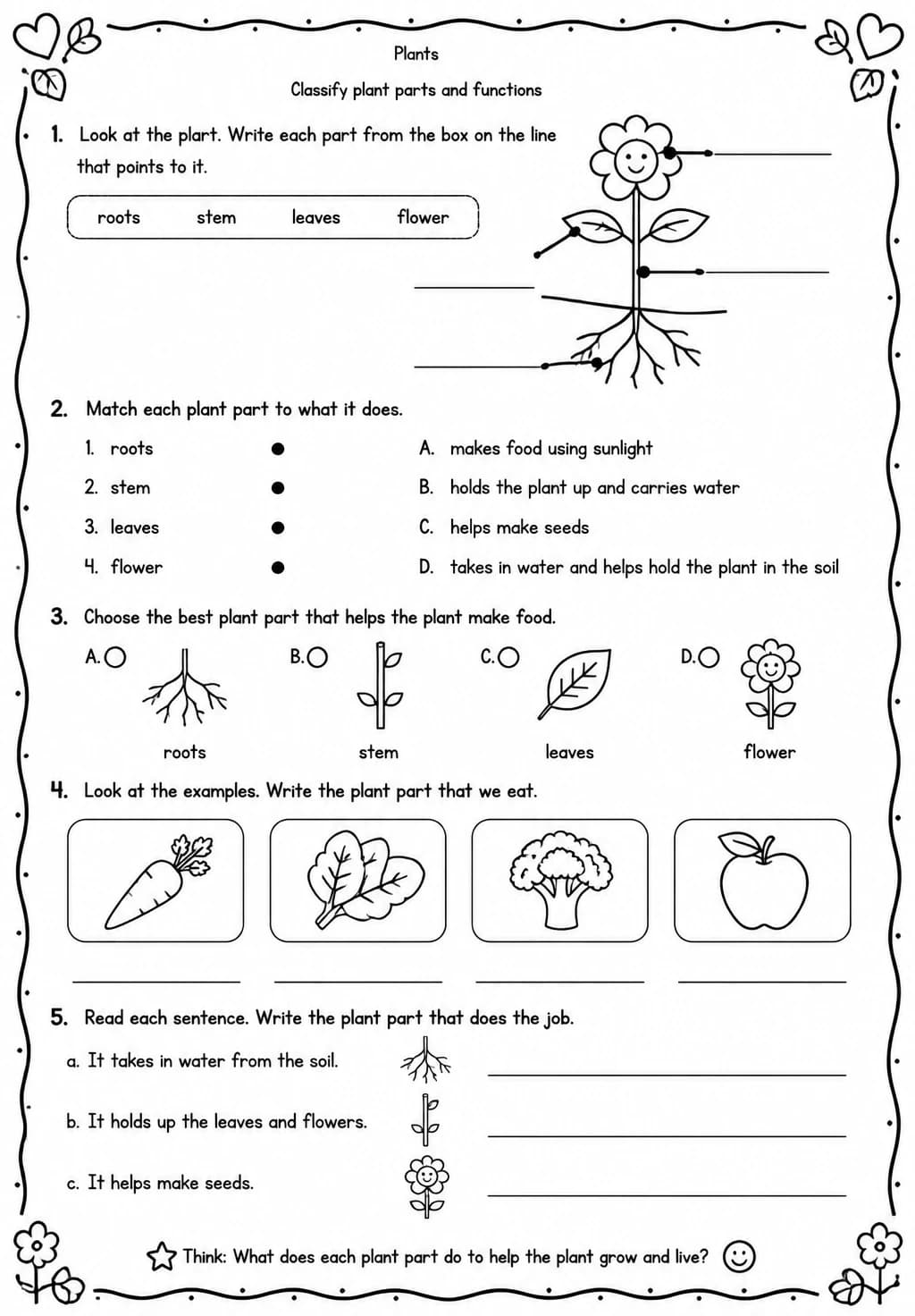 Classify plant parts and functions — free printable Grade 2 Science worksheet