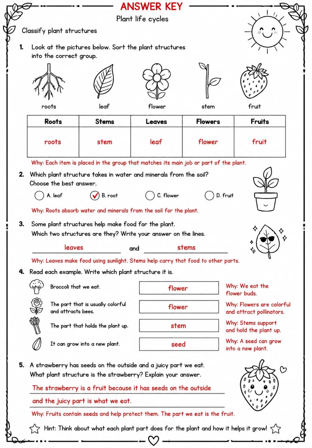 Answer key for Classify plant structures — free printable Science worksheet
