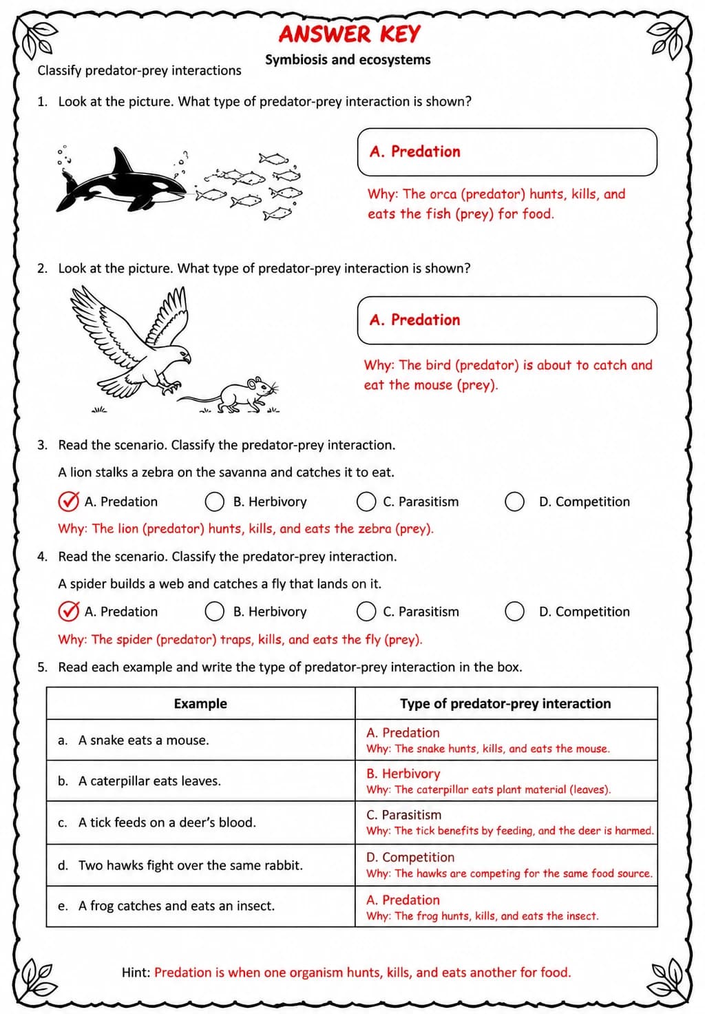 Answer key for Classify predator-prey interactions — free printable Science worksheet