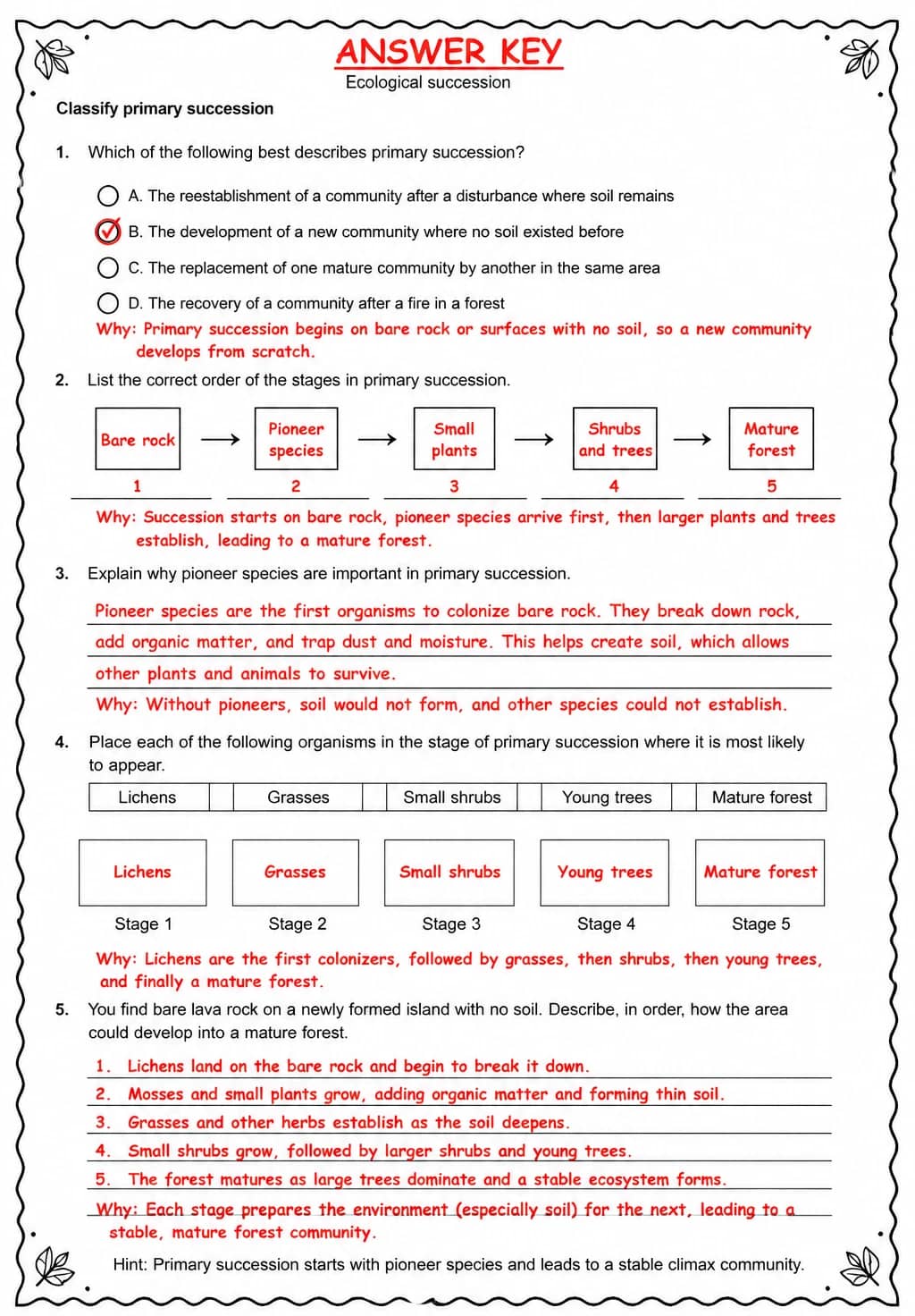 Answer key for Classify primary succession — free printable Science worksheet