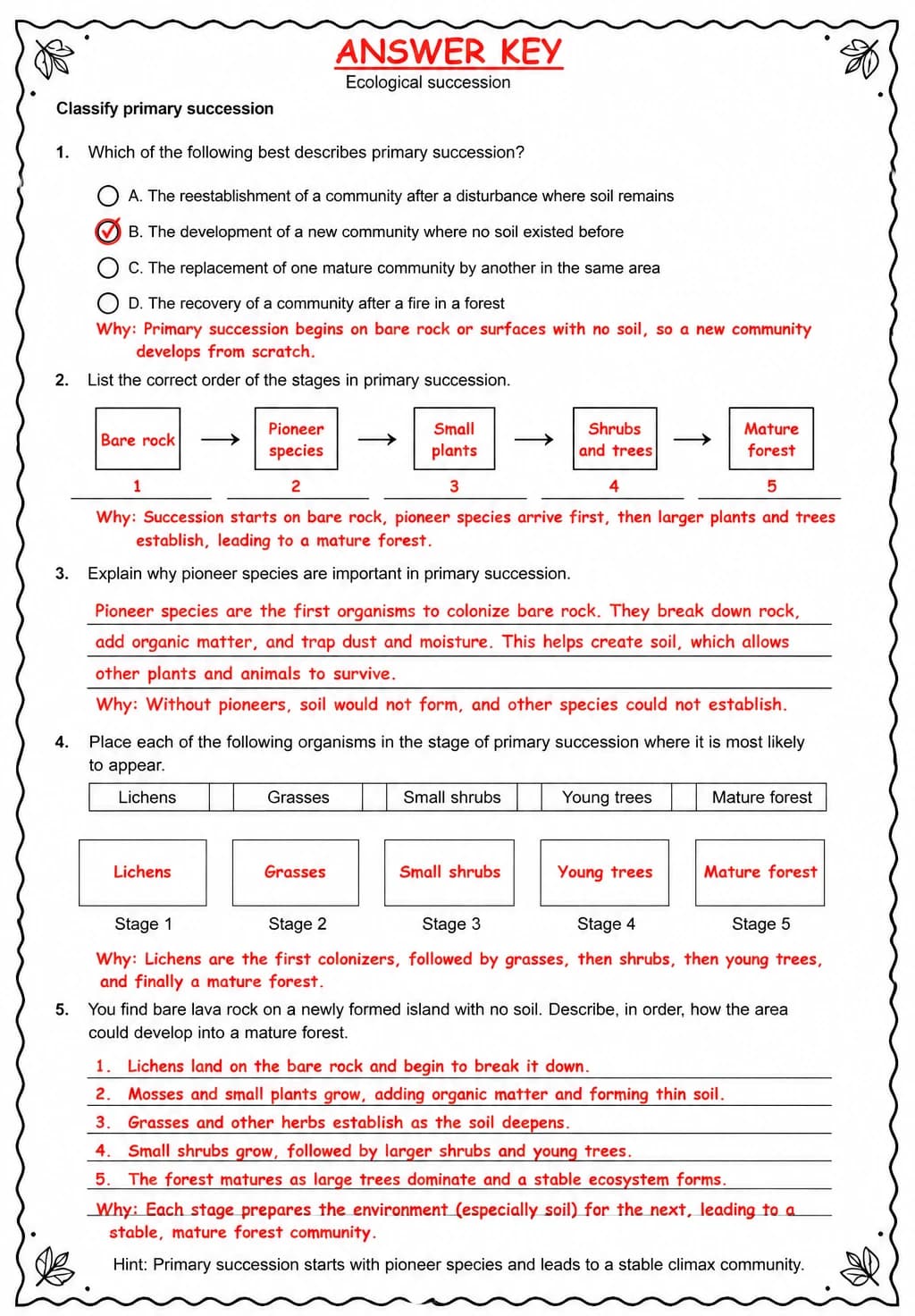 Answer key for Classify primary succession — free printable Science worksheet