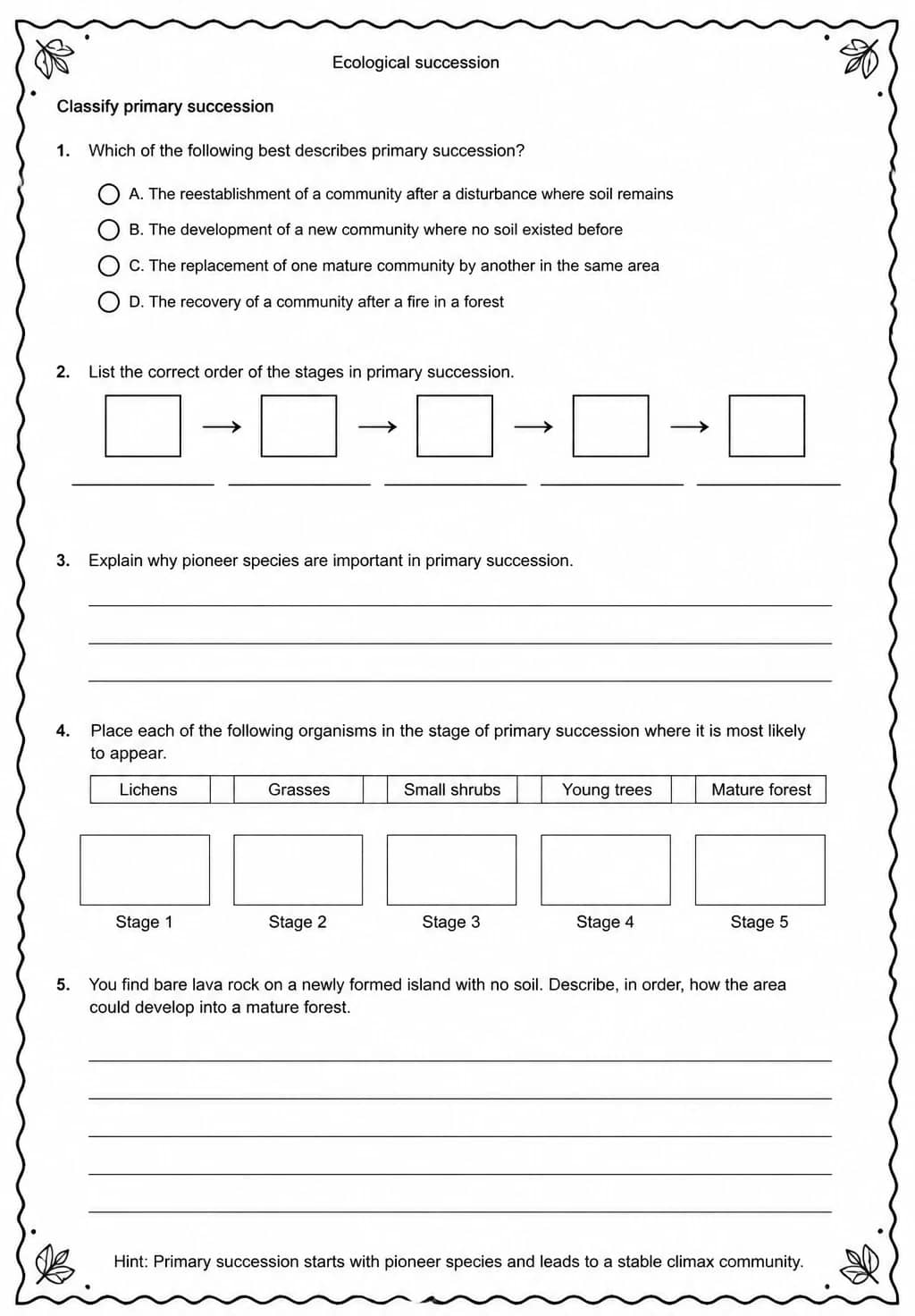 Classify primary succession — free printable Middle School Science worksheet
