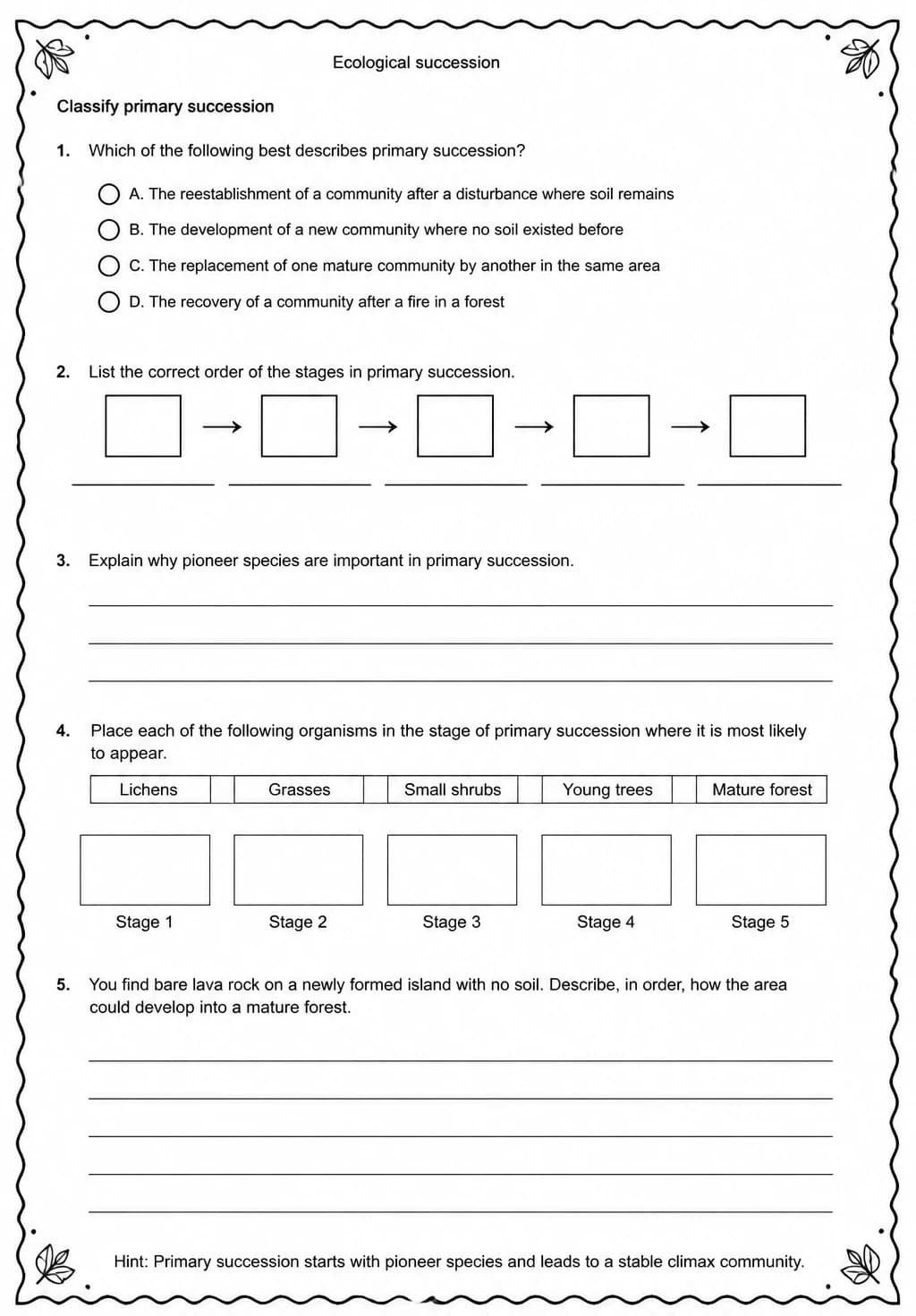 Classify primary succession — free printable Middle School Science worksheet