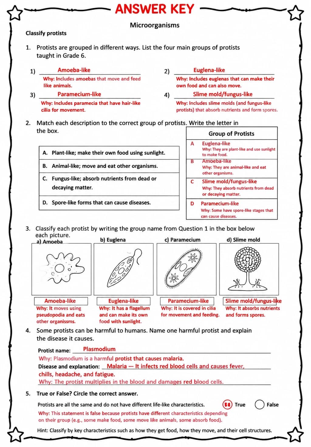 Answer key for Classify protists — free printable Science worksheet