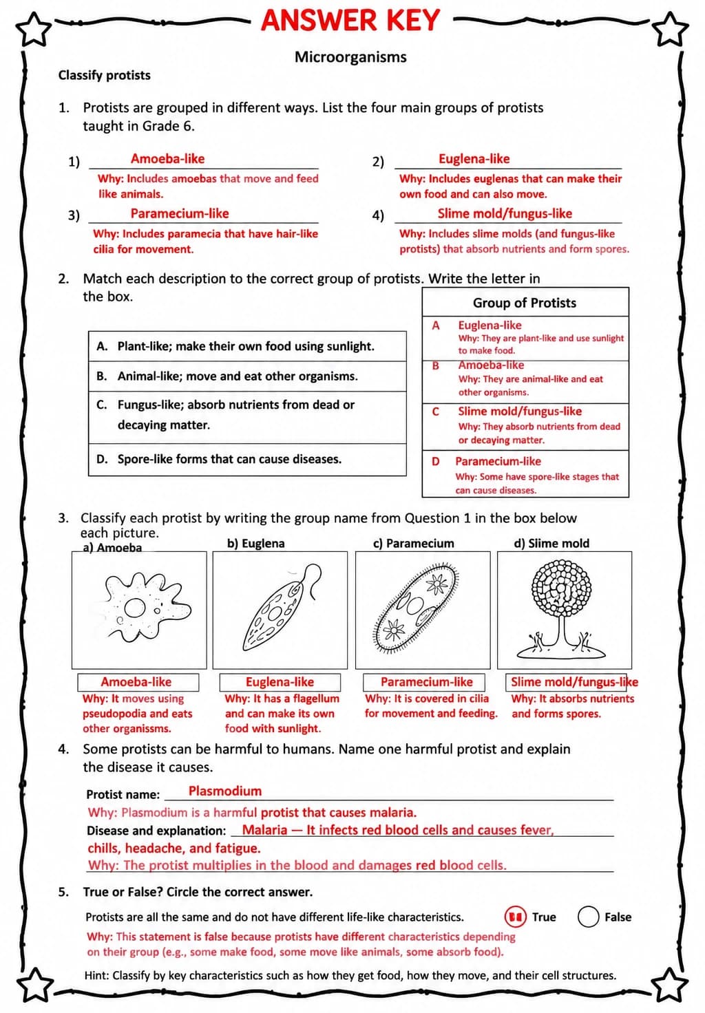Answer key for Classify protists — free printable Science worksheet
