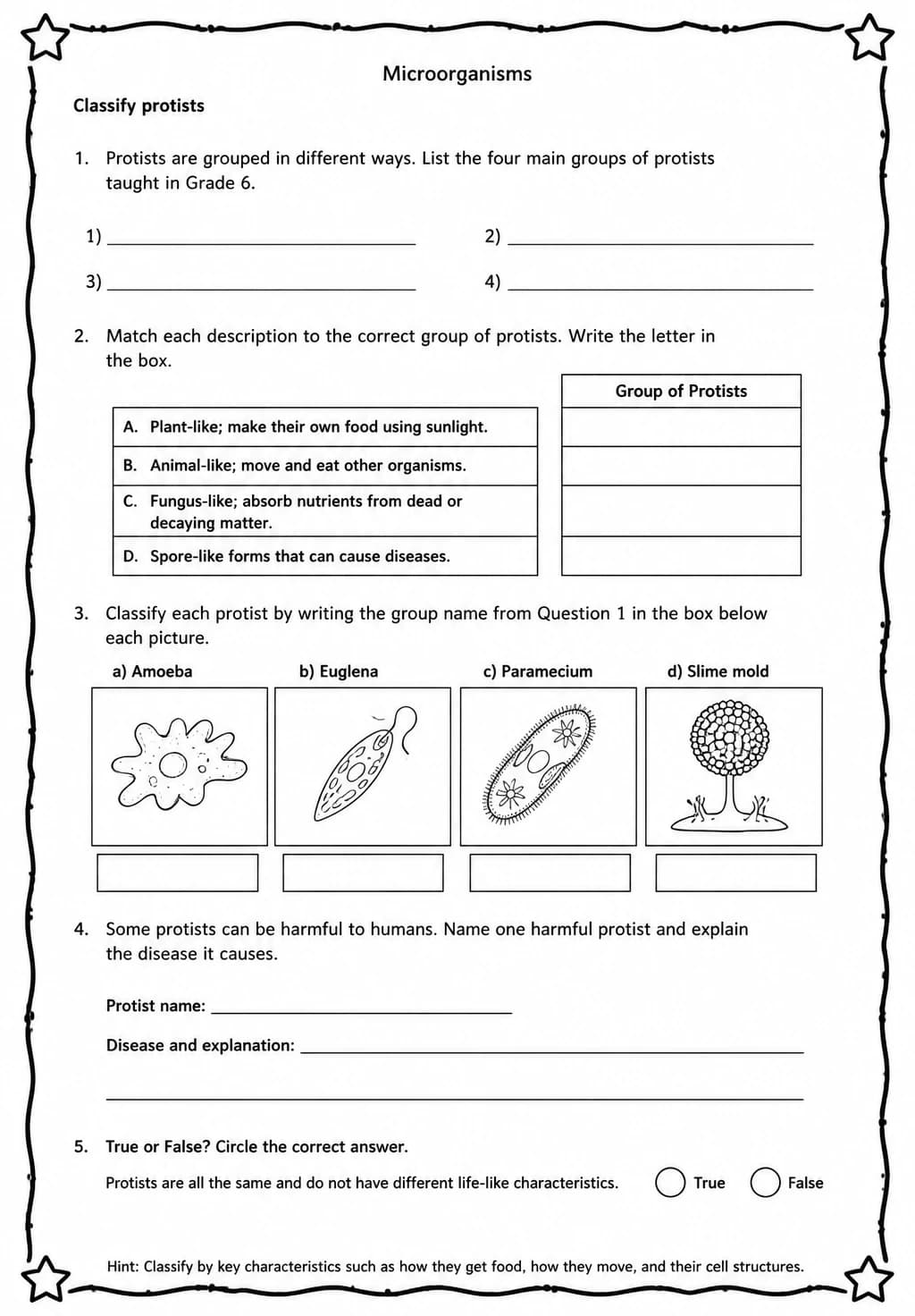 Classify protists — free printable Middle School Science worksheet