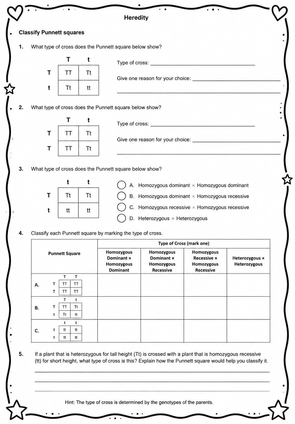 Classify Punnett squares — free printable Middle School Science worksheet