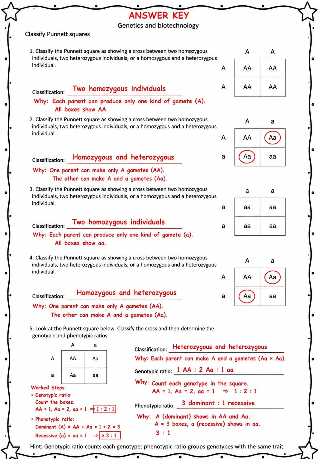 Answer key for Classify Punnett squares — free printable Science worksheet