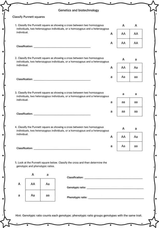 Classify Punnett squares