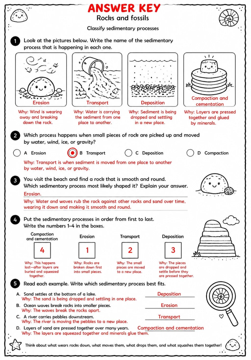 Answer key for Classify sedimentary processes — free printable Science worksheet