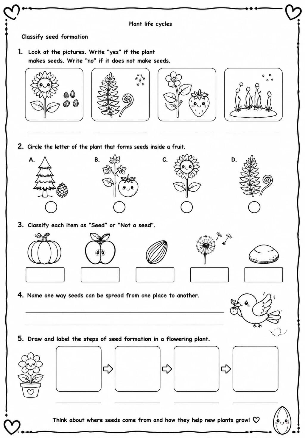 Classify seed formation — free printable Grade 4 Science worksheet