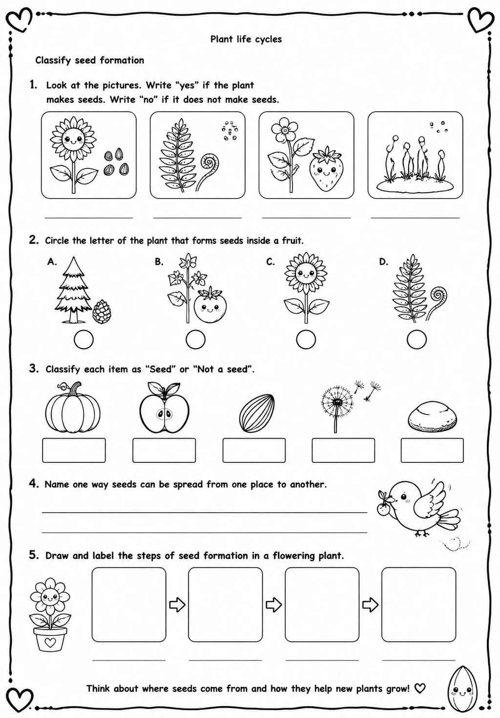 Classify seed formation — free printable Grade 4 Science worksheet