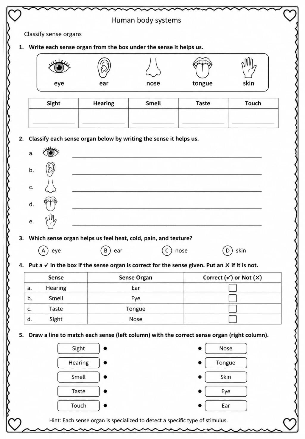Classify sense organs — free printable Grade 5 Science worksheet