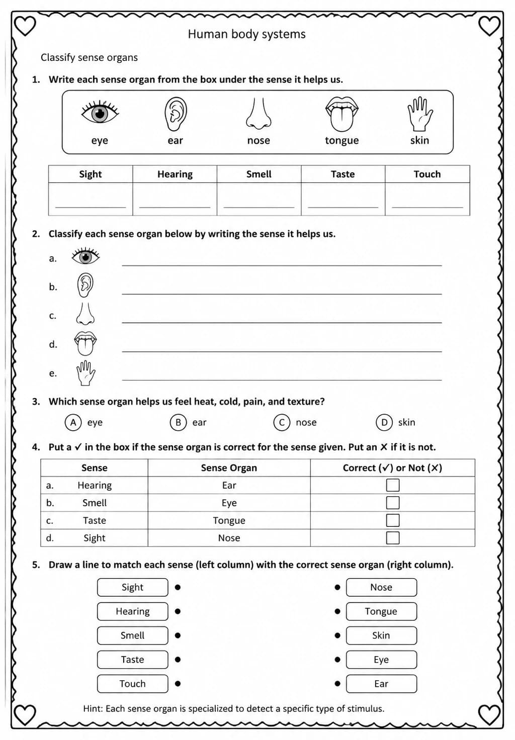 Classify sense organs — free printable Grade 5 Science worksheet