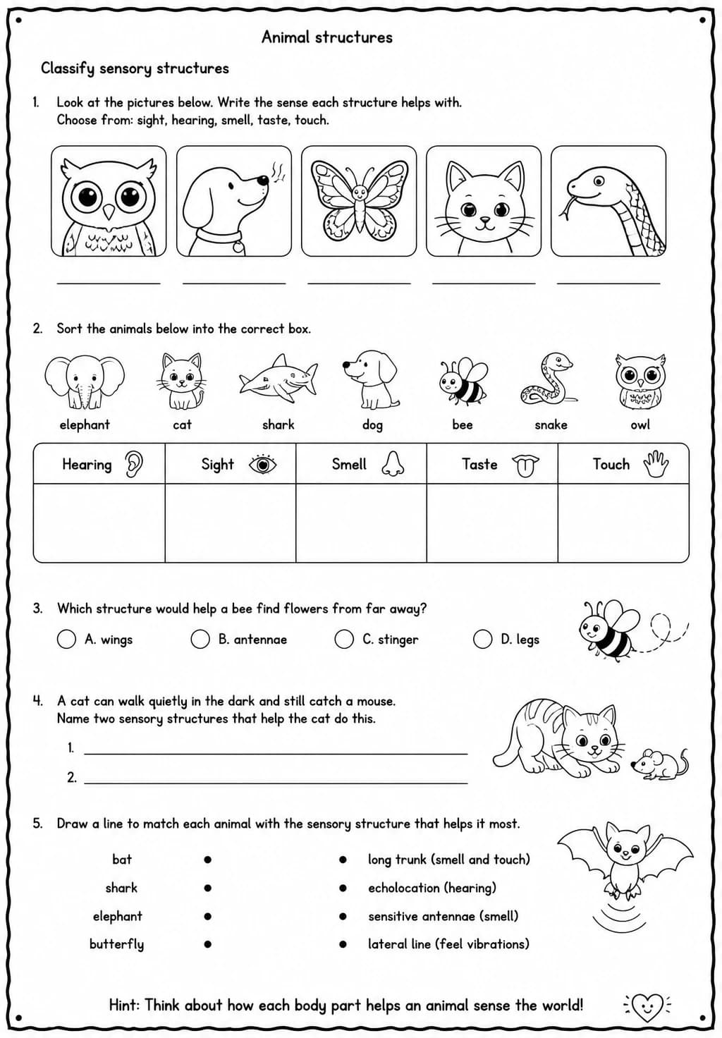 Classify sensory structures — free printable Grade 4 Science worksheet