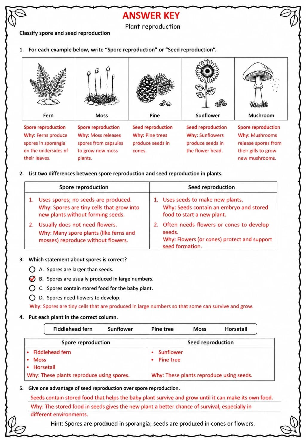 Answer key for Classify spore and seed reproduction — free printable Science worksheet