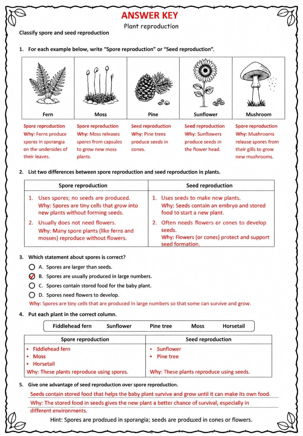 Answer key for Classify spore and seed reproduction — free printable Science worksheet