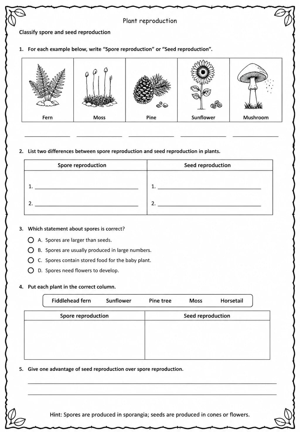 Classify spore and seed reproduction — free printable Middle School Science worksheet