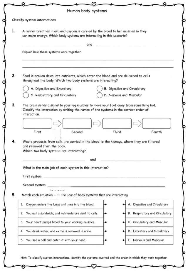 Classify system interactions