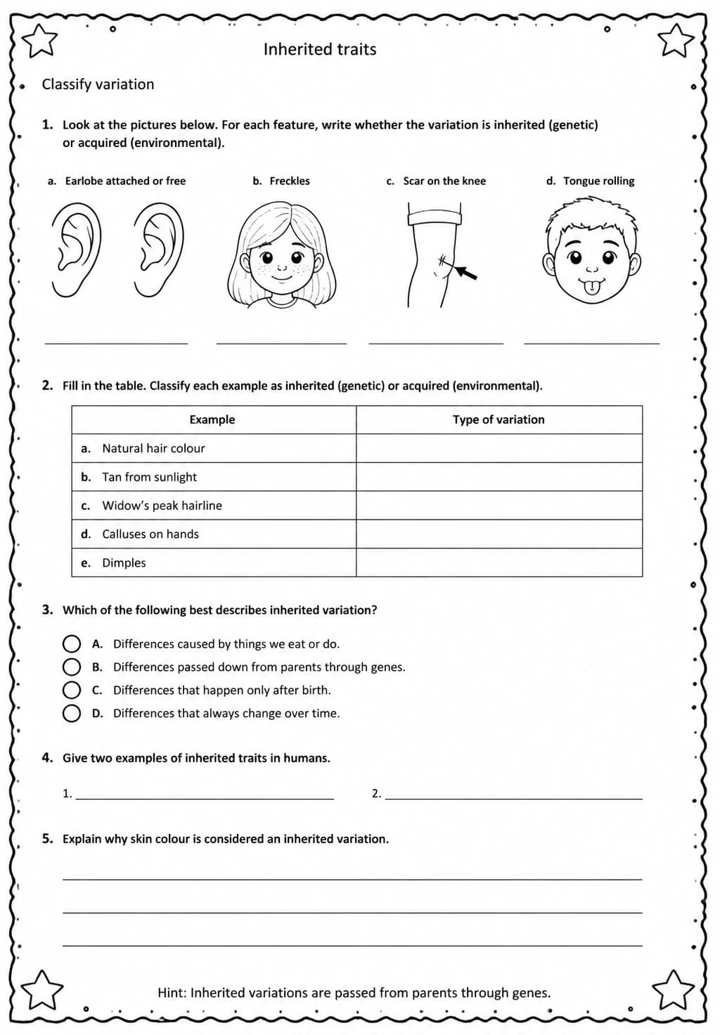 Classify variation — free printable Grade 5 Science worksheet