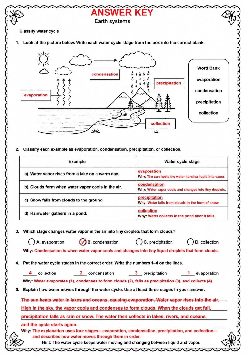 Answer key for Classify water cycle — free printable Science worksheet