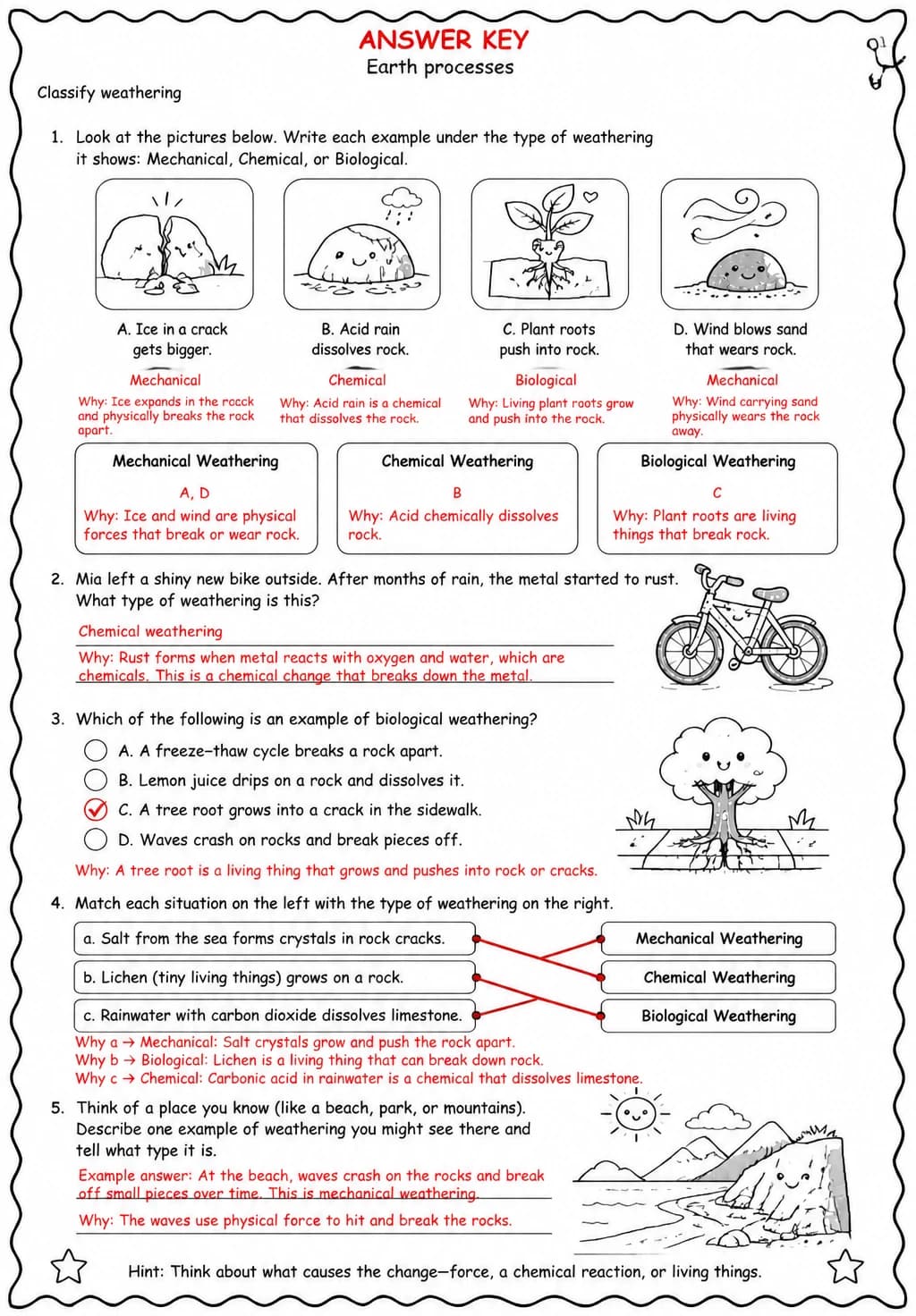 Answer key for Classify weathering — free printable Science worksheet