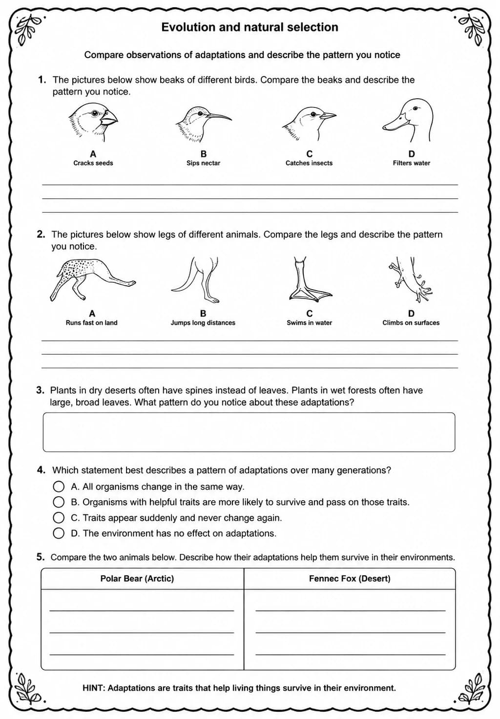 Compare observations of adaptations and describe the pattern you notice — free printable Middle School Science worksheet
