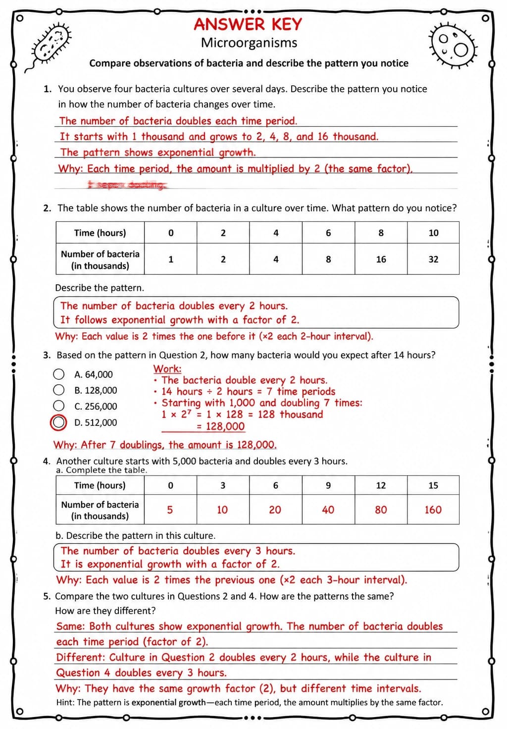 Answer key for Compare observations of bacteria and describe the pattern you notice — free printable Science worksheet