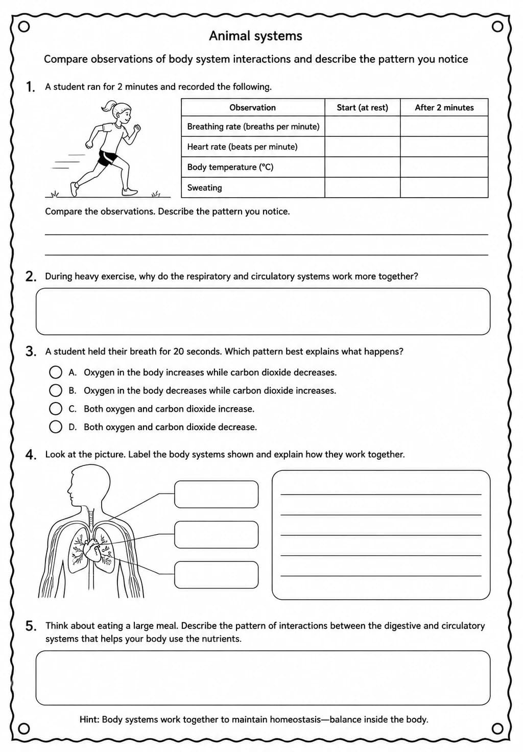 Compare observations of body system interactions and describe the pattern you notice — free printable Middle School Science worksheet