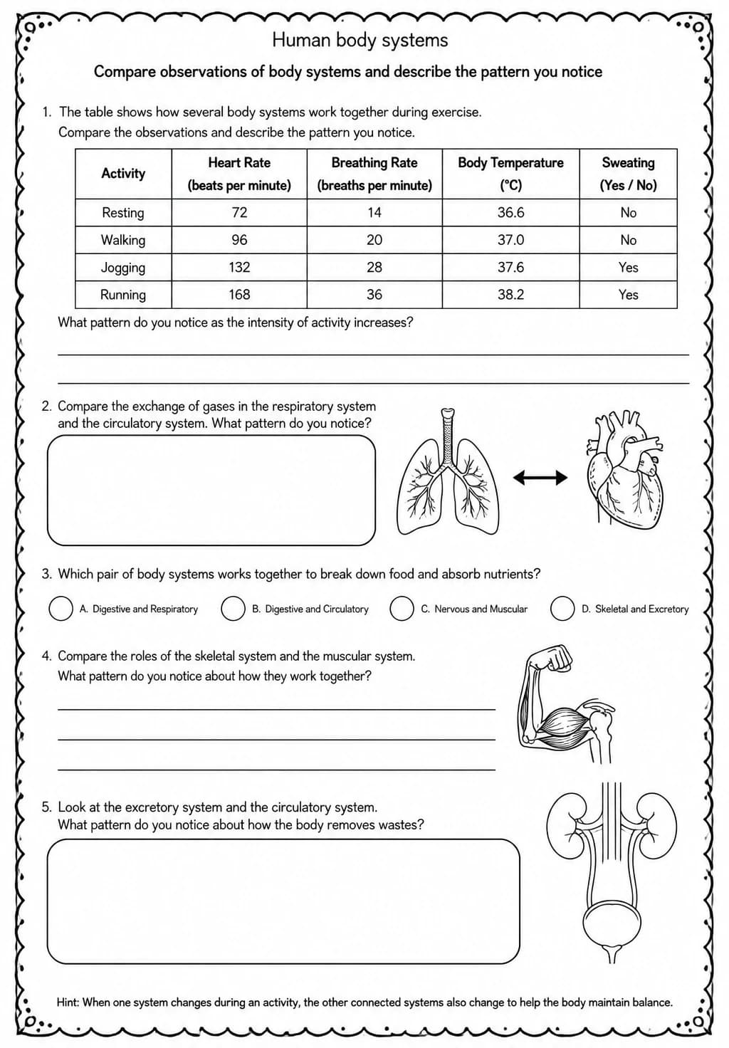 Compare observations of body systems and describe the pattern you notice — free printable Middle School Science worksheet