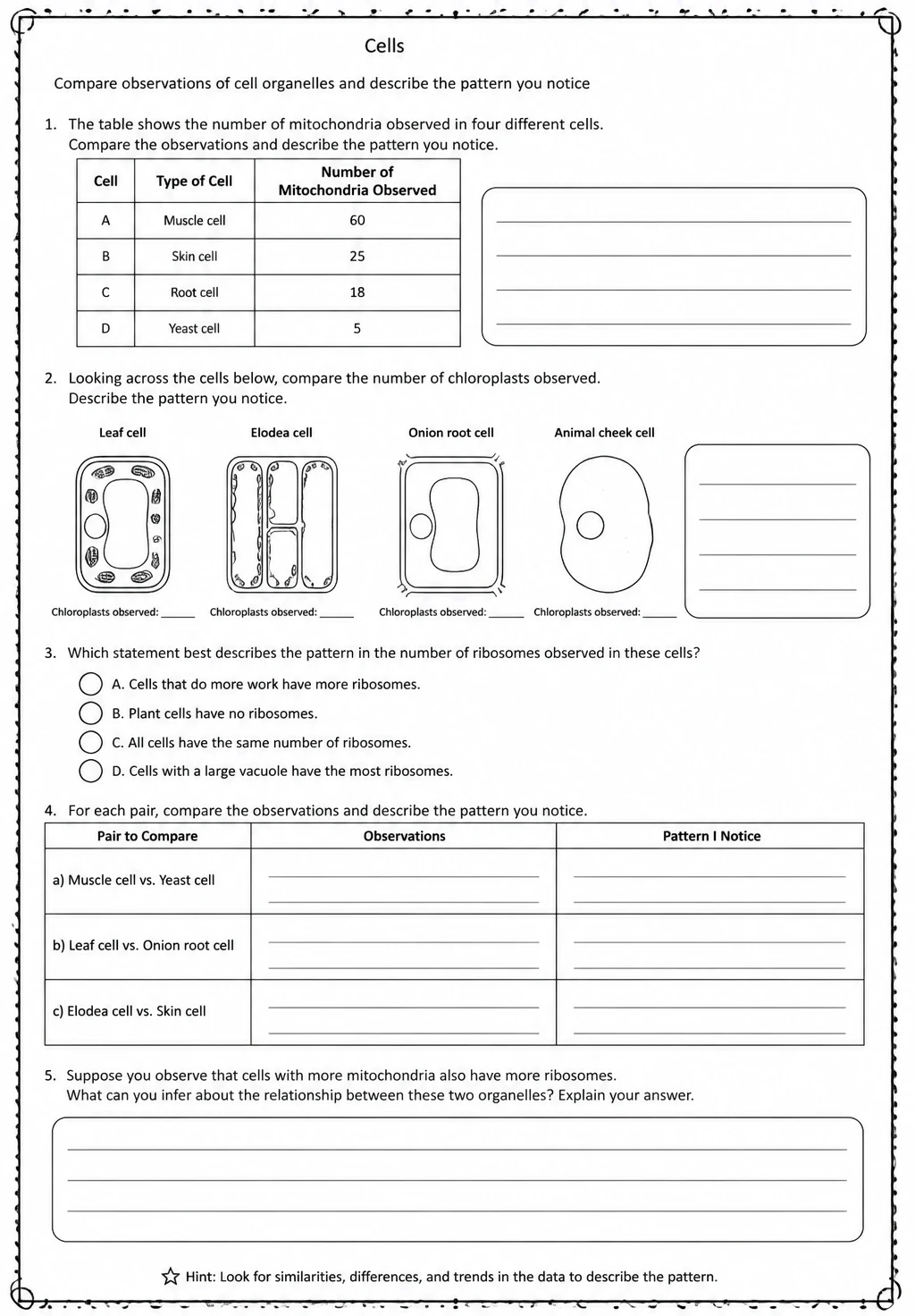 Compare observations of cell organelles and describe the pattern you notice — free printable Middle School Science worksheet