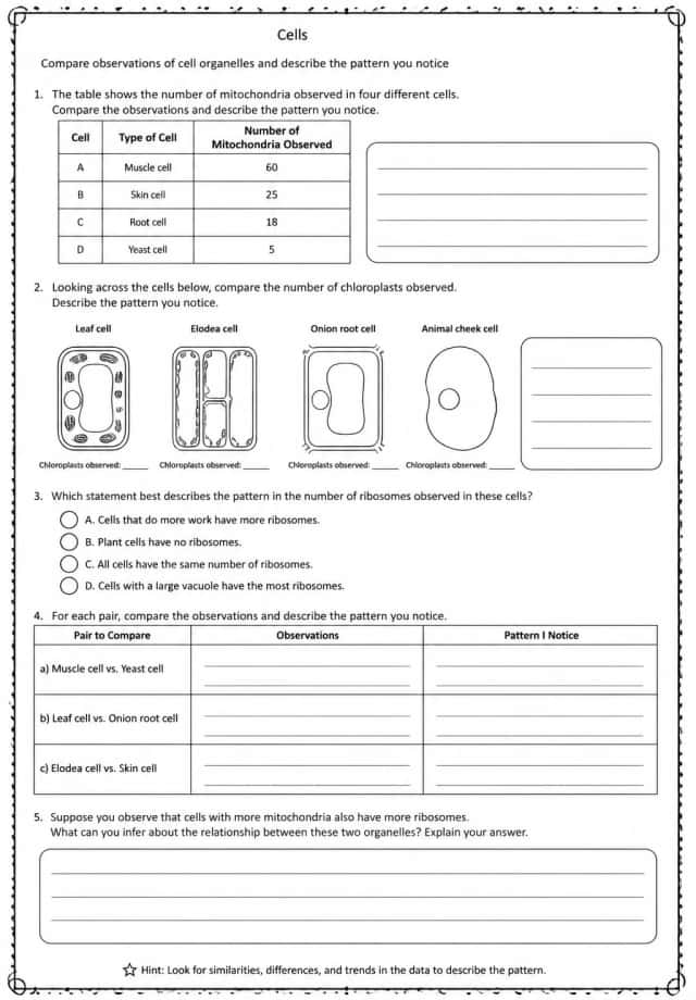 Compare observations of cell organelles and describe the pattern you notice
