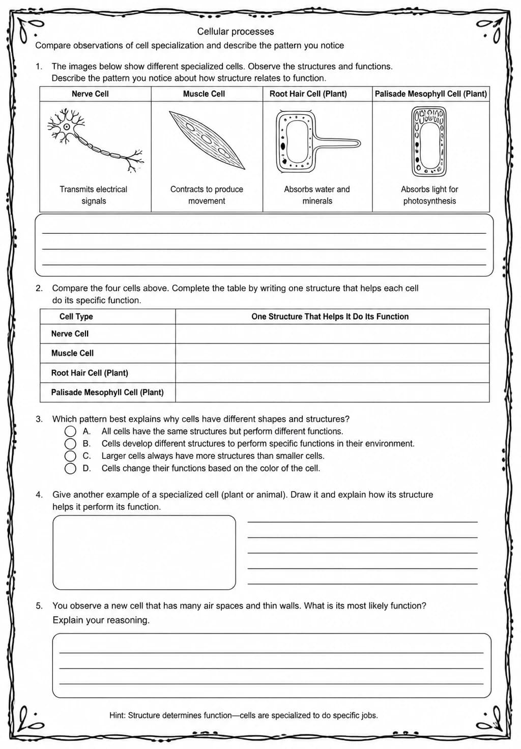 Compare observations of cell specialization and describe the pattern you notice — free printable Middle School Science worksheet