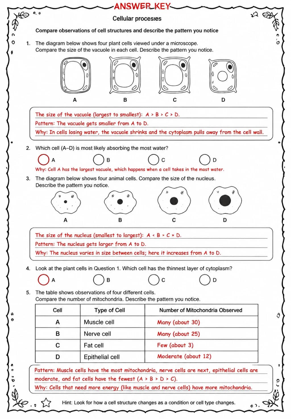 Answer key for Compare observations of cell structures and describe the pattern you notice — free printable Science worksheet