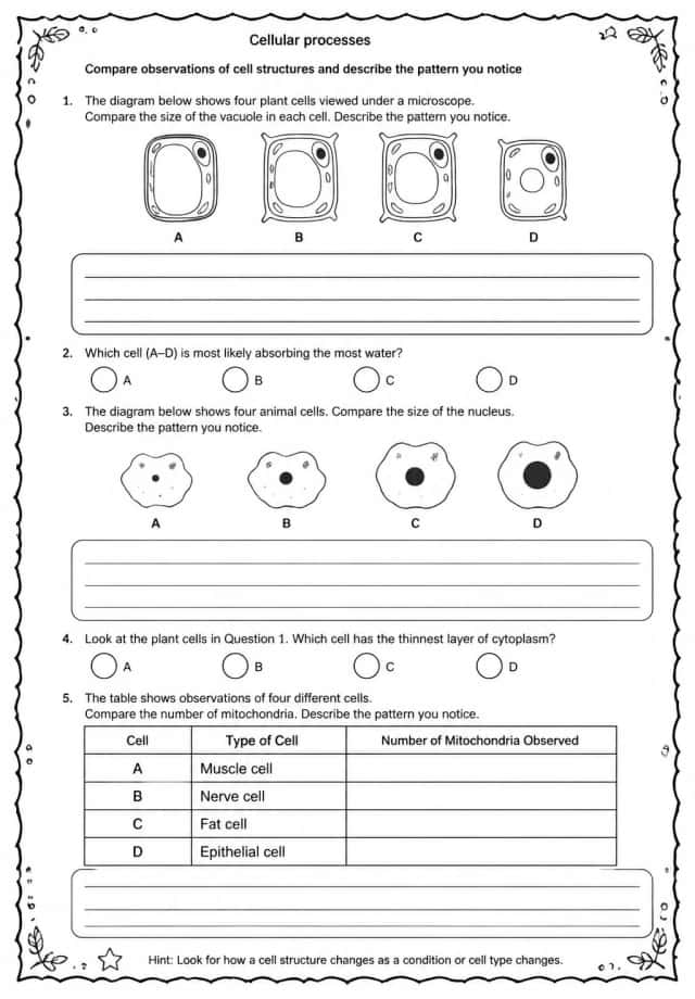 Compare observations of cell structures and describe the pattern you notice