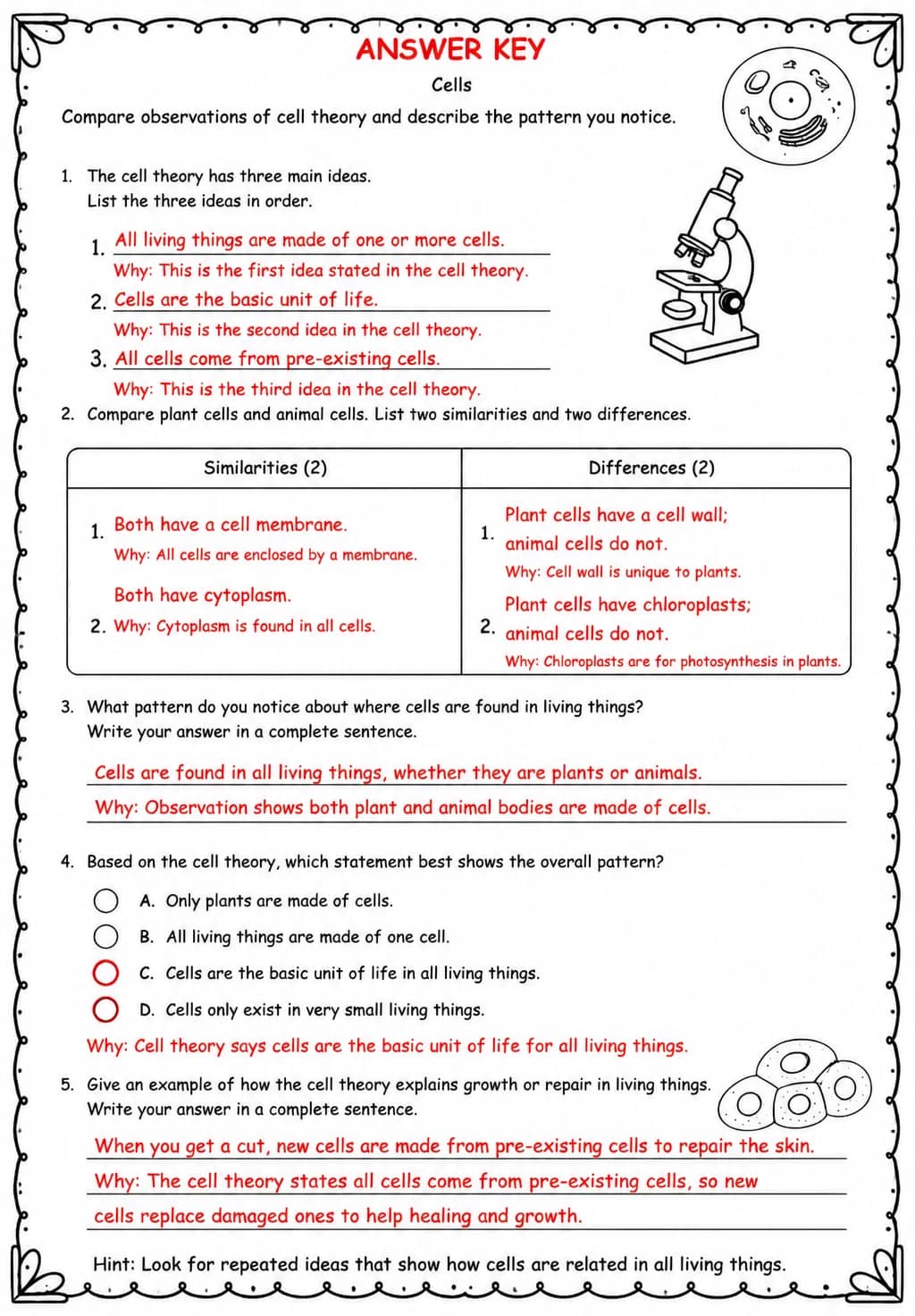 Answer key for Compare observations of cell theory and describe the pattern you notice — free printable Science worksheet