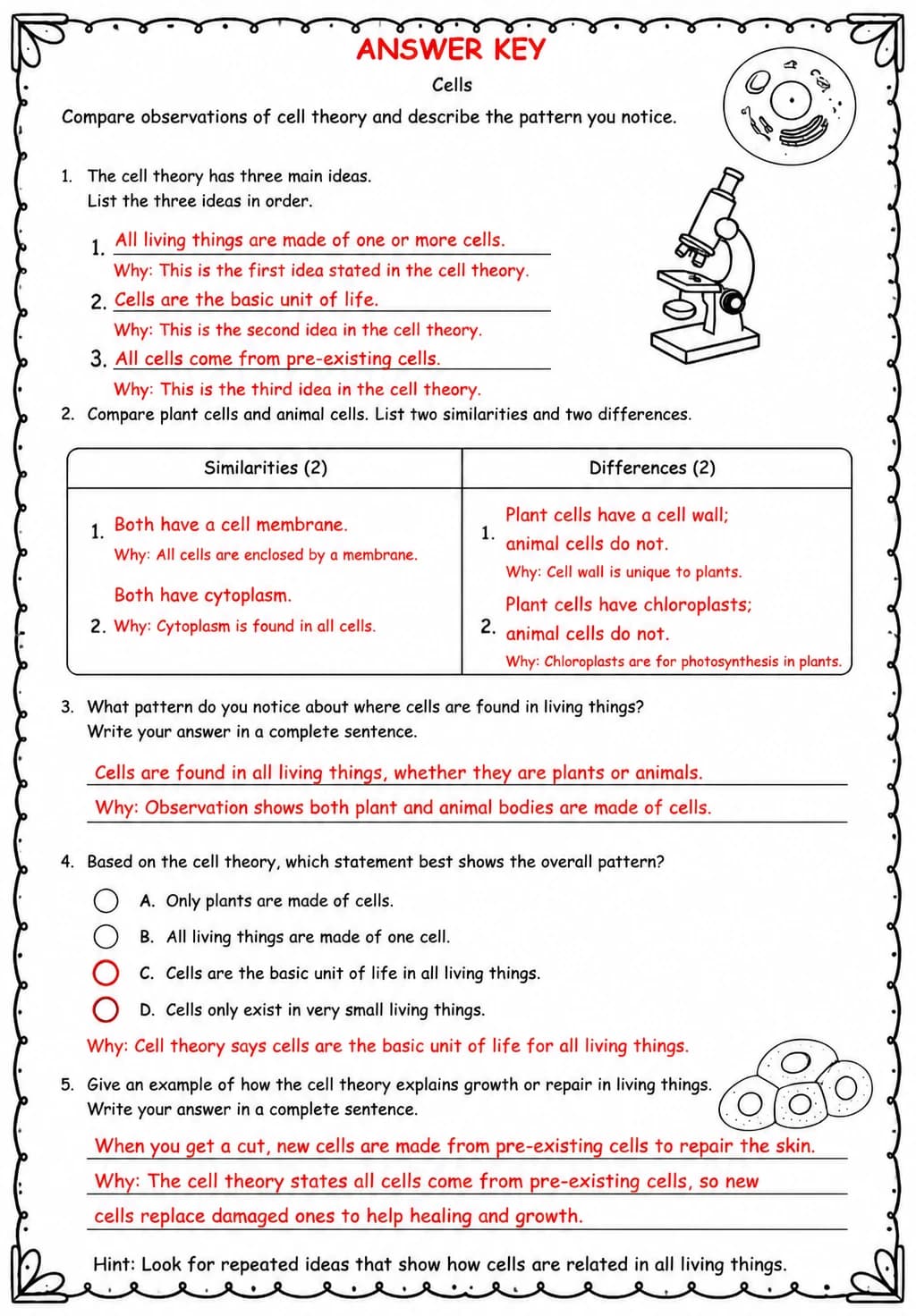 Answer key for Compare observations of cell theory and describe the pattern you notice — free printable Science worksheet