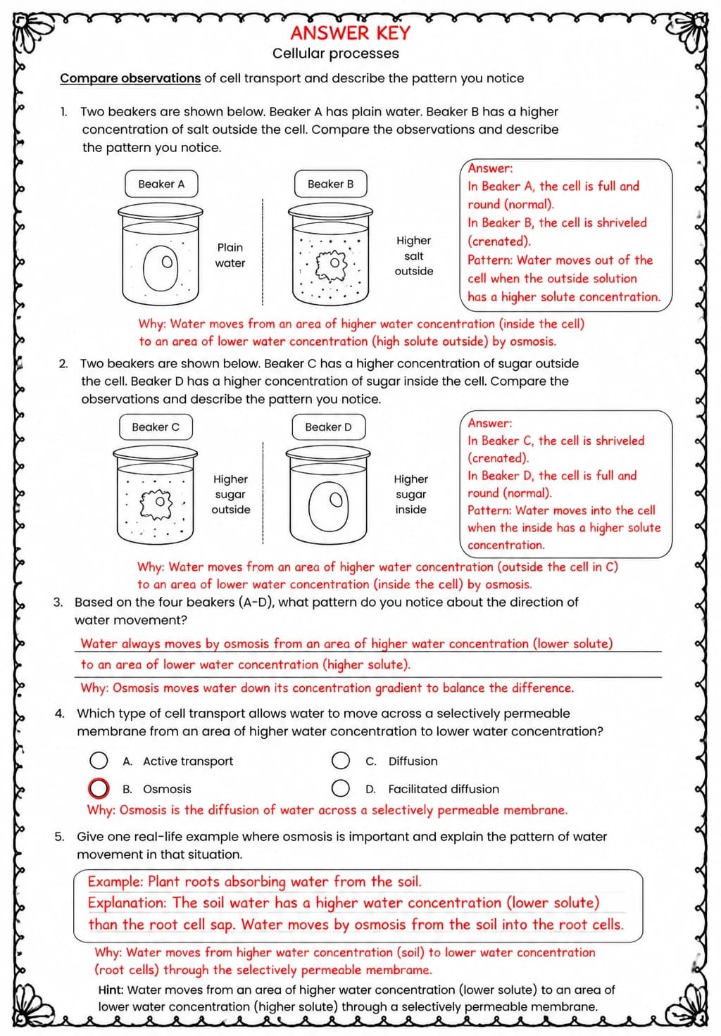 Answer key for Compare observations of cell transport and describe the pattern you notice — free printable Science worksheet