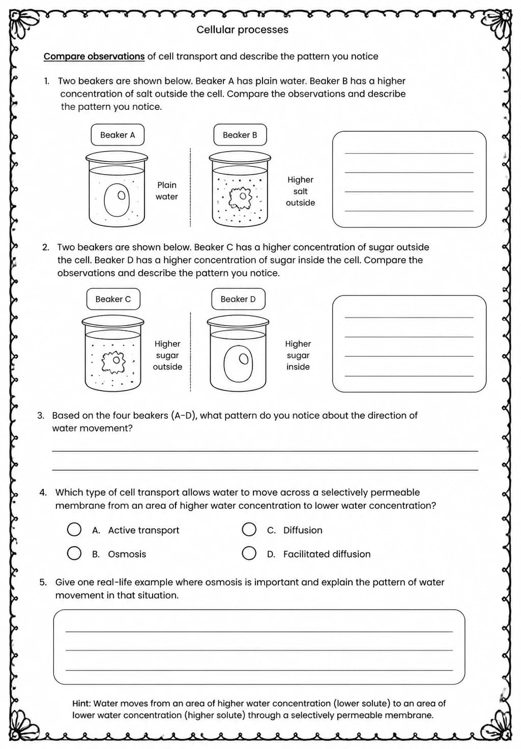 Compare observations of cell transport and describe the pattern you notice — free printable Middle School Science worksheet