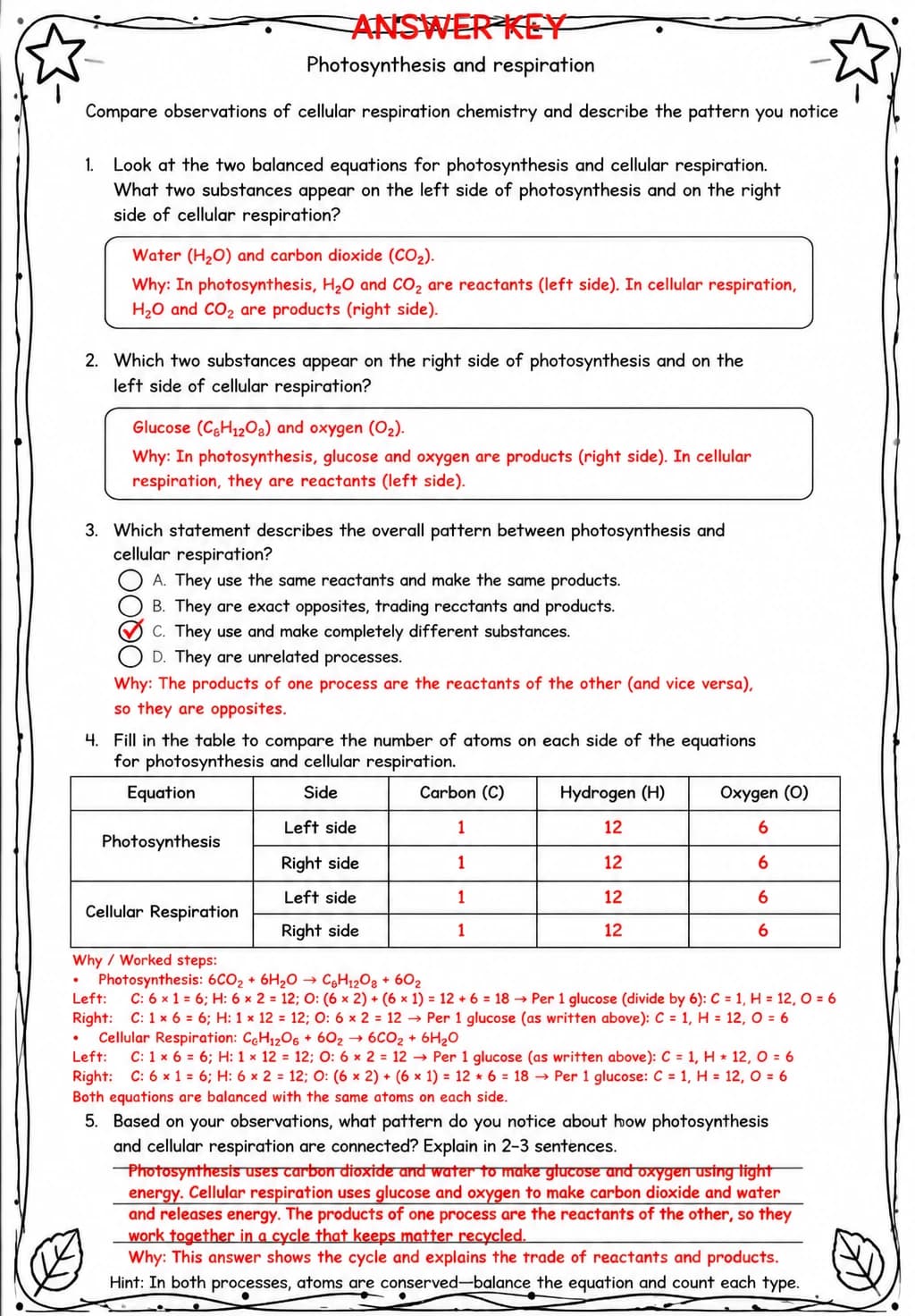 Answer key for Compare observations of cellular respiration chemistry and describe the pattern you notice — free printable Science worksheet