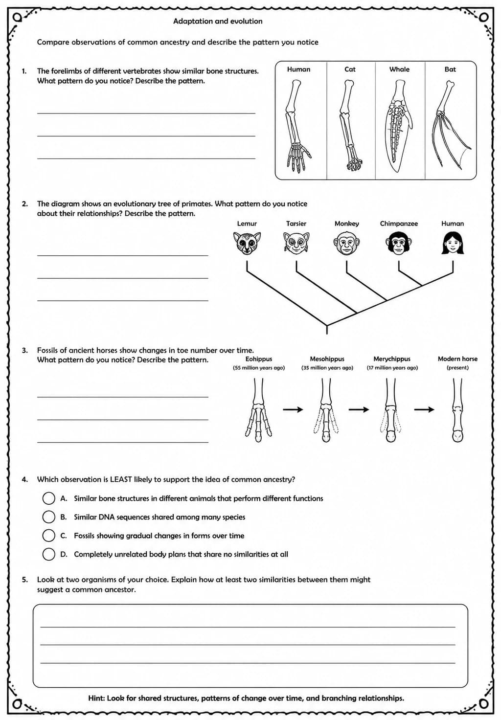 Compare observations of common ancestry and describe the pattern you notice — free printable Middle School Science worksheet