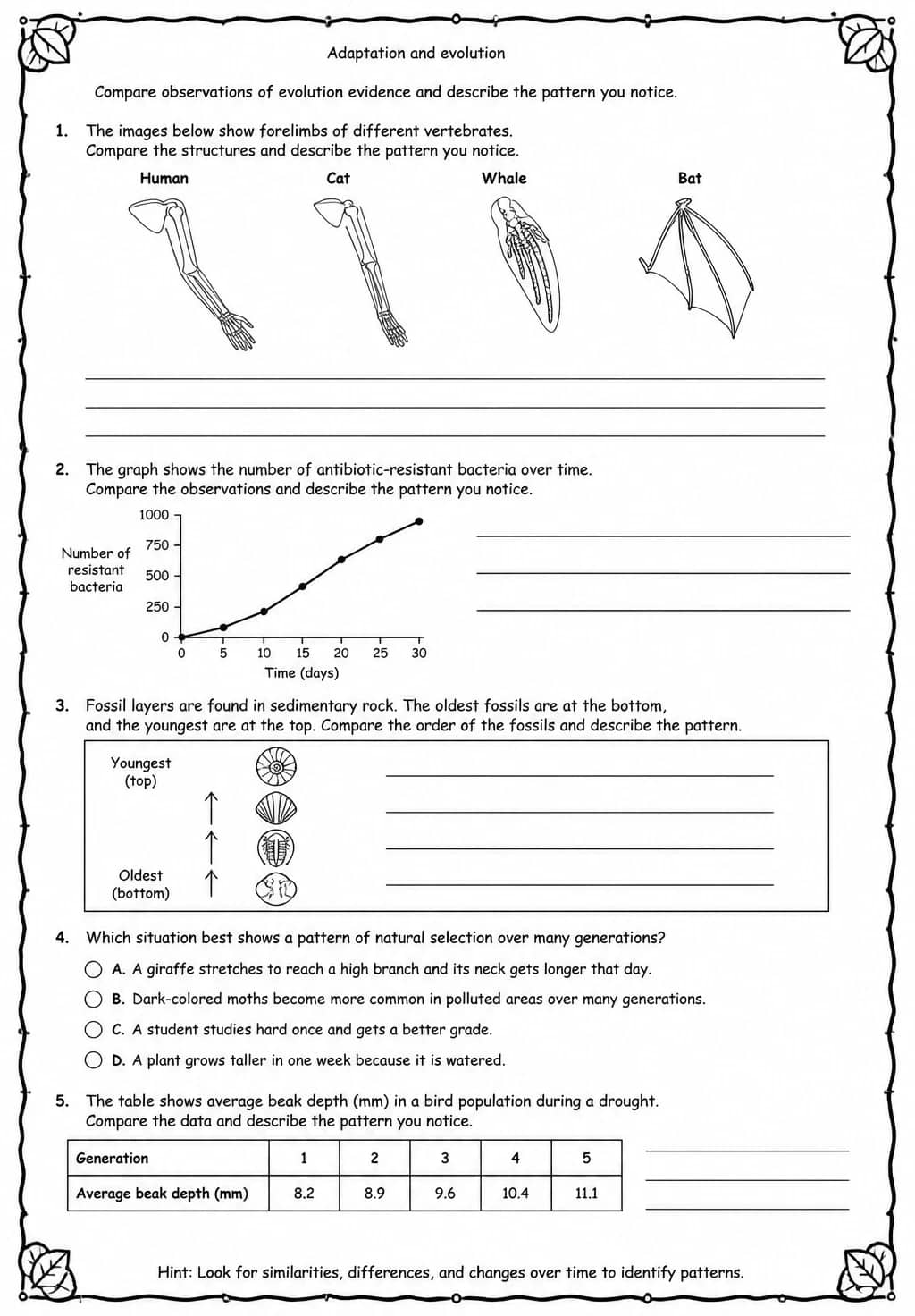 Compare observations of evolution evidence and describe the pattern you notice — free printable Middle School Science worksheet